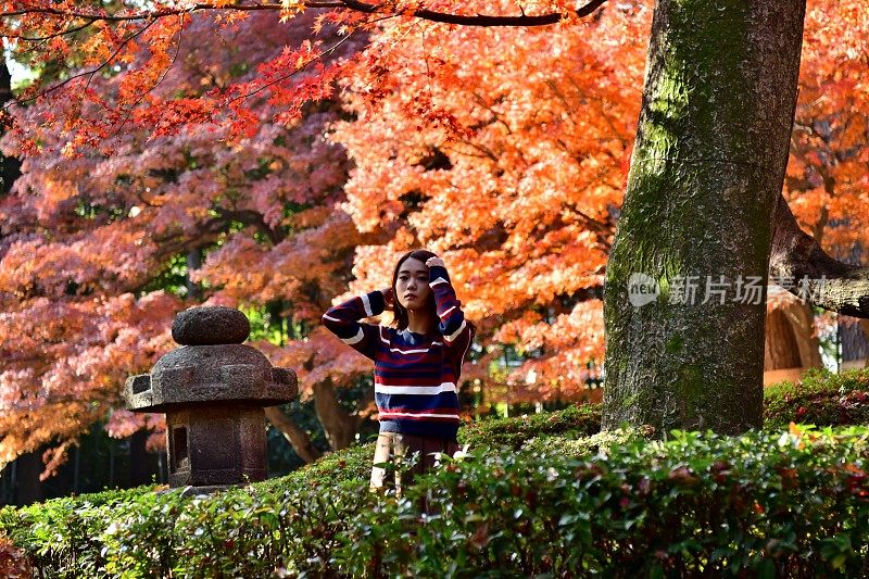 东京，一名年轻的日本女子在秋叶中行走/站立